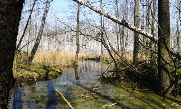 20140419_123206