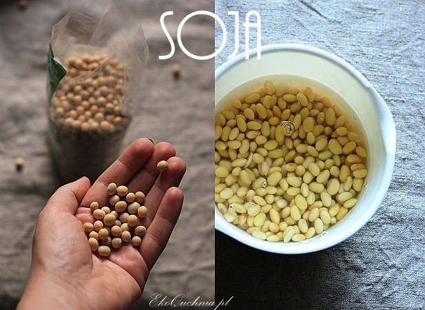 soje